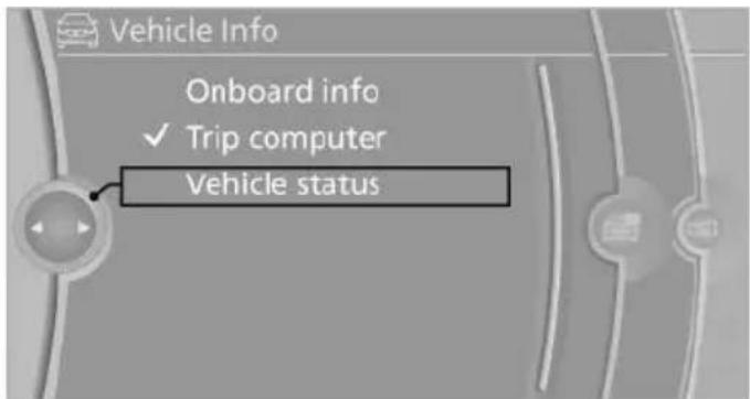 BMW X6 xDrive50i (2013) - Displaying the oil level - 1
