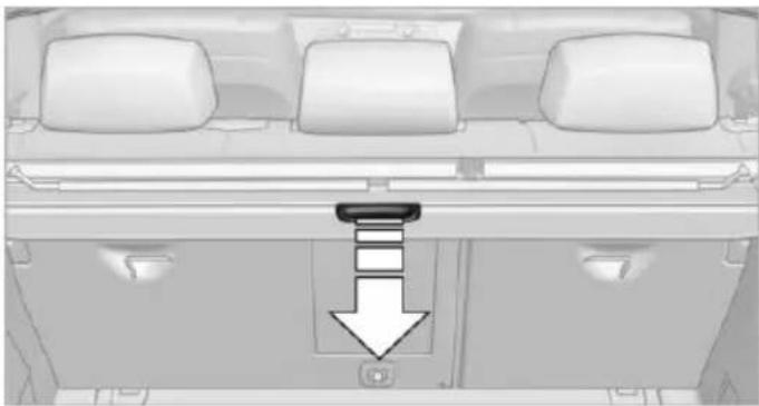 BMW X6 xDrive50i (2013) - BMW X5: luggage compartment roller cover - 1