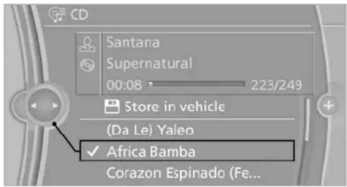 BMW X6 xDrive50i (2013) - CDs/DVDs with compressed audio files - 2