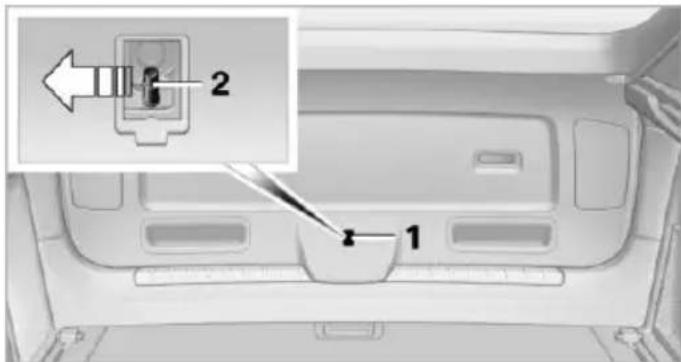 BMW X6 xDrive50i (2013) - Manually opening or closing - 1