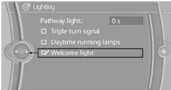 BMW X6 xDrive50i (2013) - Activating/deactivating the welcome lamps - 1
