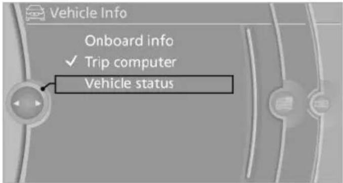 BMW X6 xDrive50i (2013) - Detailed information on service requirements - 1