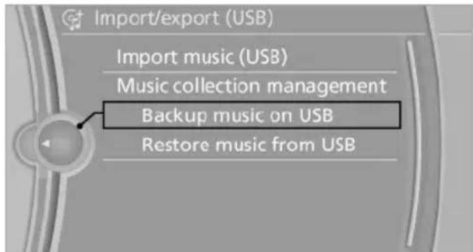 BMW X6 xDrive50i (2013) - Backing up the music collection - 2