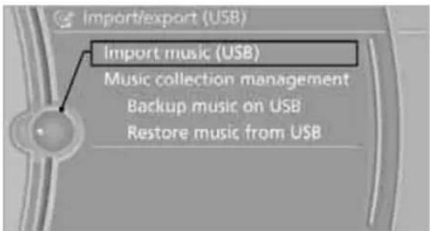 BMW 135i Coupe (2012) - Storing from a USB device - 1