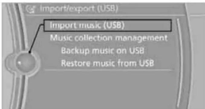 BMW 335i Coupe (2012) - Storing from a USB device - 1