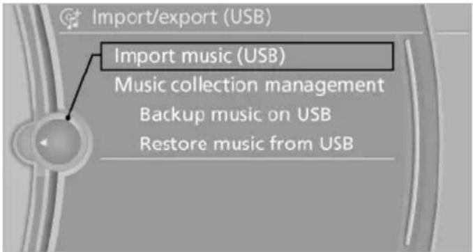 BMW 550i xDrive Sedan (2012) - Storing from a USB device - 1