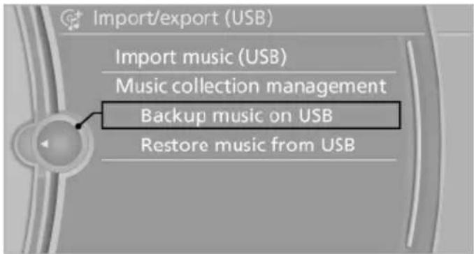 BMW 550i xDrive Sedan (2012) - "Backup music on USB" - 1