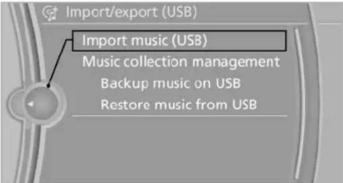 BMW 650i xDrive Coupe (2012) - Storing from a USB device - 1