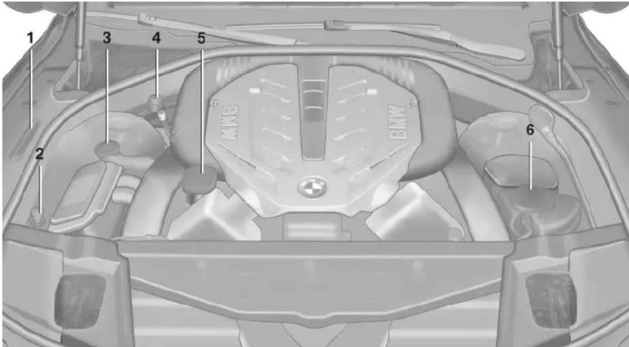 BMW 650i xDrive Convertible (2012) - Important features in the engine compartment - 1