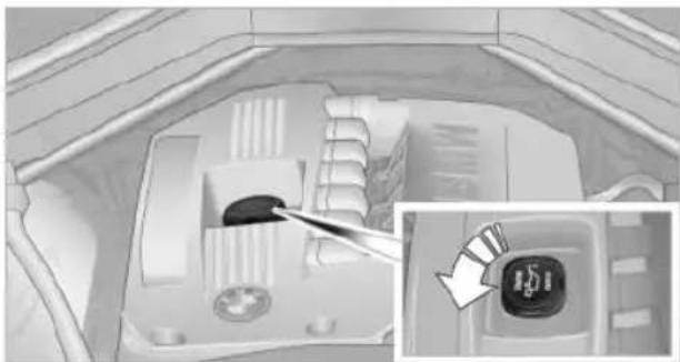 BMW X6 M (2012) - Filler neck - 2