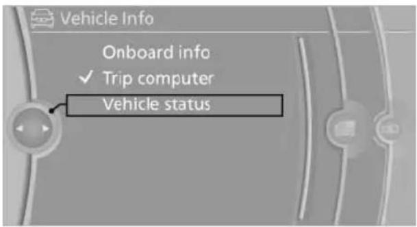 BMW X6 M (2012) - Displaying the oil level - 1