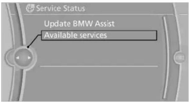 BMW X6 M (2012) - "Available services" - 1