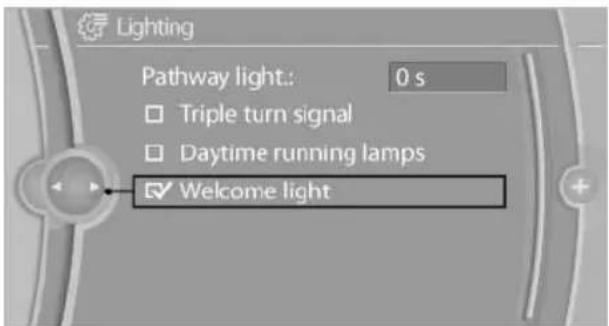 BMW X6 M (2012) - Activating/deactivating the welcome lamps - 1