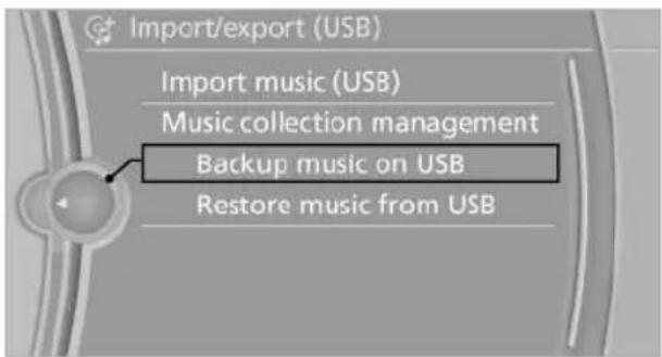 BMW X6 M (2012) - Backing up the music collection - 2