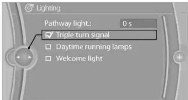 BMW X6 M (2012) - Triple turn signal activation - 1