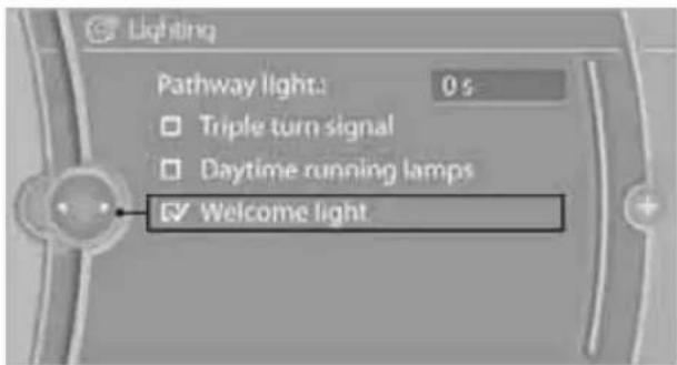 BMW 328i xDrive Sedan (2011) - Activating/deactivating welcome lamps - 1