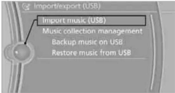 BMW 335i xDrive Sedan (2010) - Storing from a USB device - 2