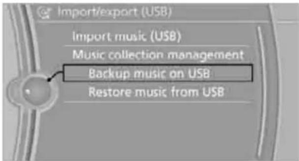 BMW 335i xDrive Sedan (2010) - Backing up the music collection - 2