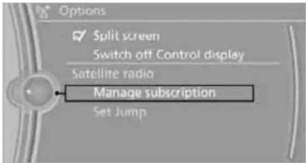 BMW 335i xDrive Sedan (2010) - "Manage subscription" - 1