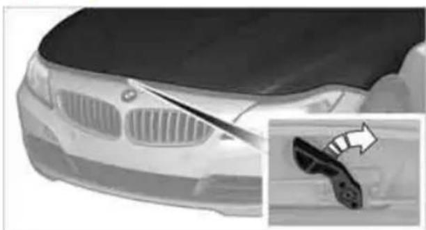 BMW Z4 sDrive30i (2010) - Hood - 2