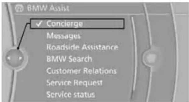 BMW Z4 sDrive30i (2010) - Starting the concierge service - 1