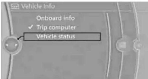 BMW Z4 sDrive30i (2010) - Display via iDrive - 1