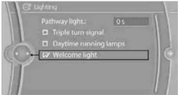 BMW Z4 sDrive30i (2010) - Activating/deactivating welcome lamps - 1