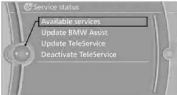 BMW 328i xDrive Sports Wagon (2009) - Services status - 1