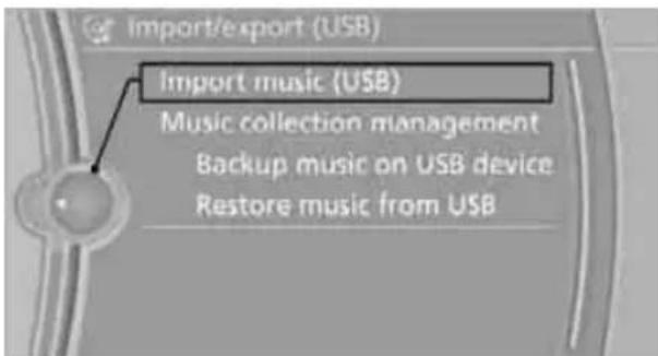 BMW 750i Sedan (2009) - Storing from a USB device - 1