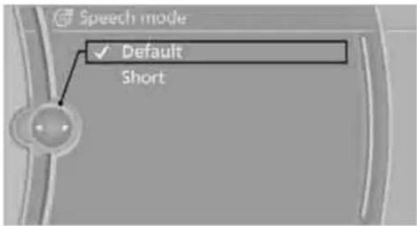 BMW 750i Sedan (2009) - Setting the voice dialog - 1