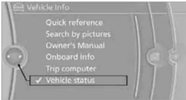 BMW 750i Sedan (2009) - "Vehicle status" - 1