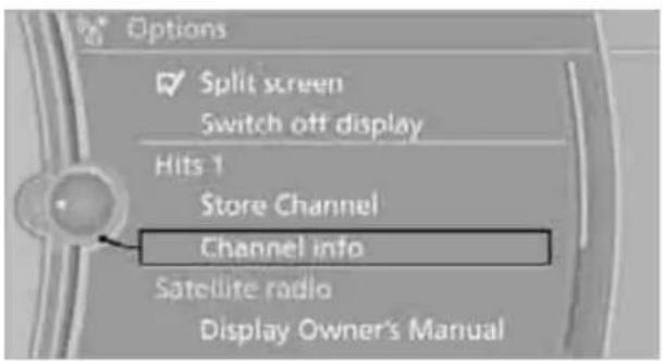 BMW 750i Sedan (2009) - Displaying information on another channel - 1