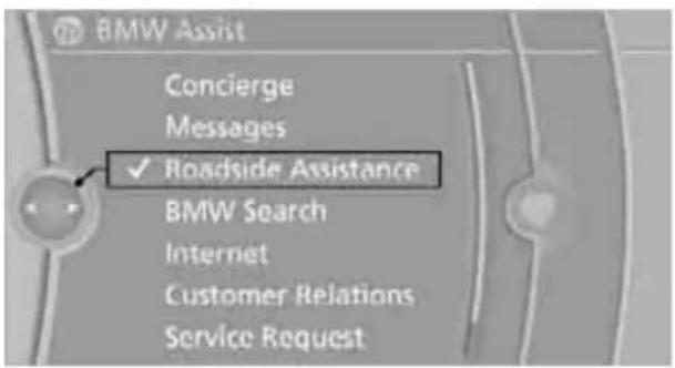 BMW 750i Sedan (2009) - Vehicle not equipped with BMW Assist or TeleService - 1
