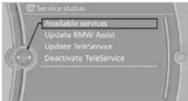 BMW 750i Sedan (2009) - Displaying available services - 1