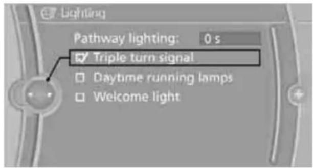 BMW 750i Sedan (2009) - Triple turn signal activation - 1