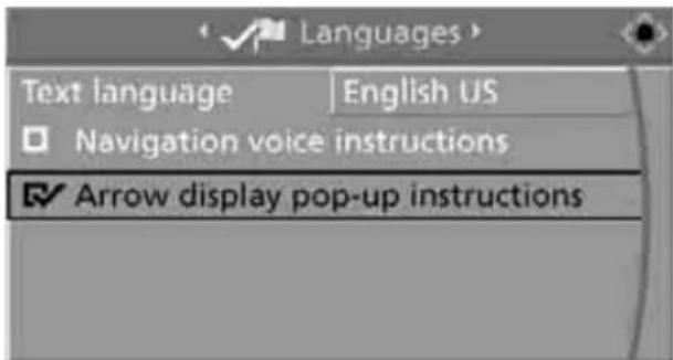 BMW 535i Sedan (2008) - Displaying arrow view in map view\* - 1
