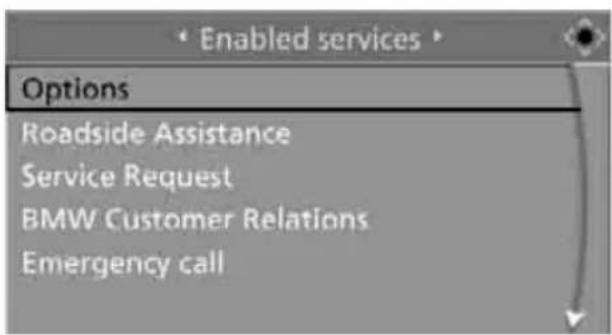 BMW 535i Sedan (2008) - Blocking services\* - 2