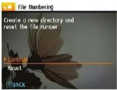 GE A1455 - File Numbering - 1