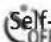 GE A1455 - Self-timer/Continuous Capture - 8