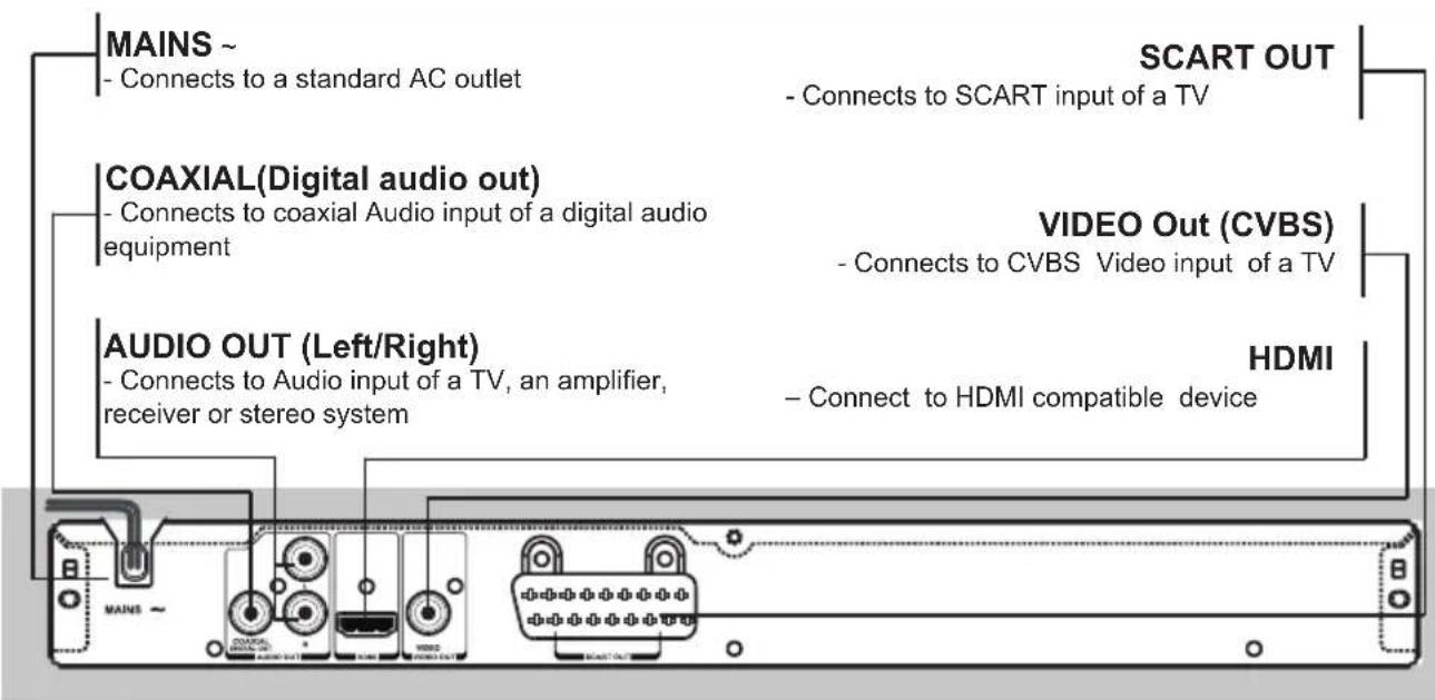 MAINS ~ - Connects to a standard AC outlet SCART OUT - Connects to SCART input of a TV COAXIAL(Digital audio out) - Connects to coaxial Audio input of a digital audio equipment VIDEO Out (CVBS) - Connects to CVBS Video input of a TV AUDIO OUT (Left/Right) - Connects to Audio input of a TV, an amplif…