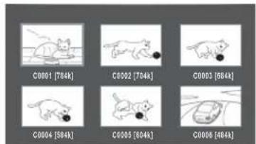 TOSHIBA SD4015 - ■ Viewing a thumbnail view - 1