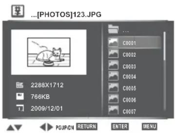 TOSHIBA SD4015 - (For example: selecting the Picture icon) - 1
