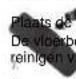 TRISTAR SR-5239 - Plaatsen van de vioerborstel - 1