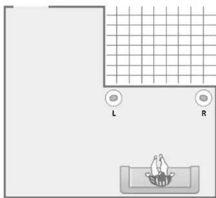 BANG & OLUFSEN BeoLab 1 - Setting the speaker Position switch - 6