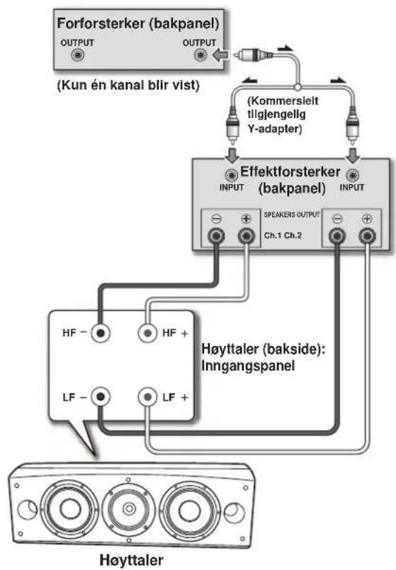 PIONEER S-8EX-QL - Vertikal Bi-forsterkning (Bi-Amping) - 1