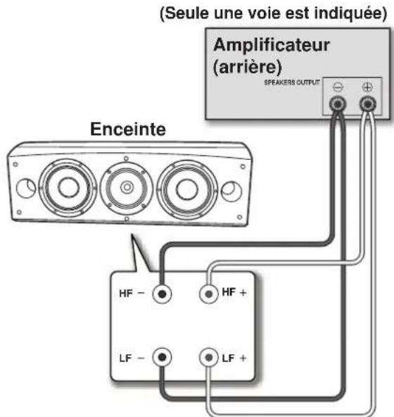 (Seule une voie est indiquée) Amplificateur (arrière) SPEAKERS OUTPUT Enceinte HF - HF + LF - LF +
