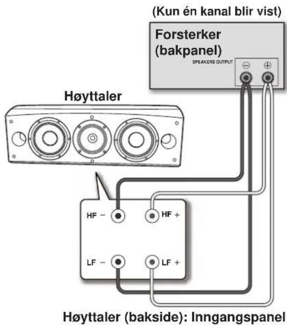 PIONEER S-8EX-QL - Tilkoblinger med Bi-Wiring - 1