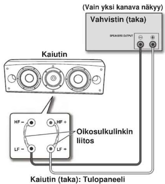 PIONEER S-8EX-QL - Yksijohtoiset liitännät - 1