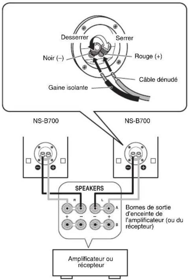 YAMAHA NS-B700 - CONNEXIONS À VOTRE AMPLIFICATEUR - 1