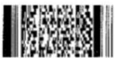 DYMO LabelWriter SE450 - PDF417 2D Barcode - 1